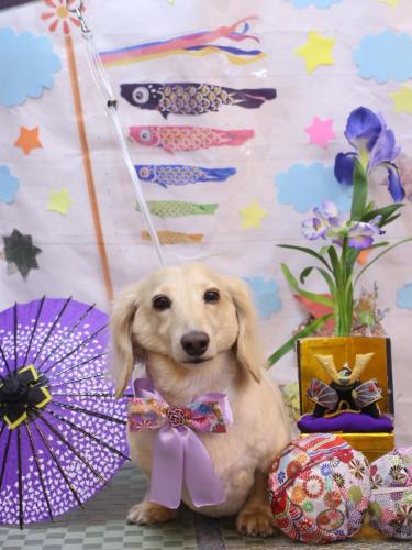 20240510シオンくん